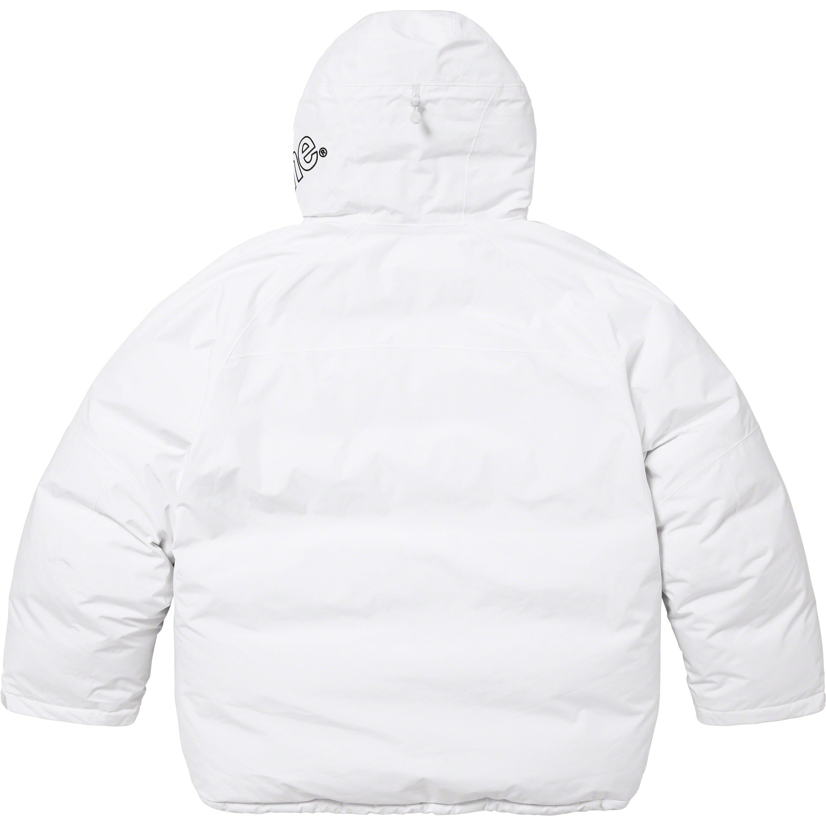 GORE-TEX 700-Fill Down Parka view 15